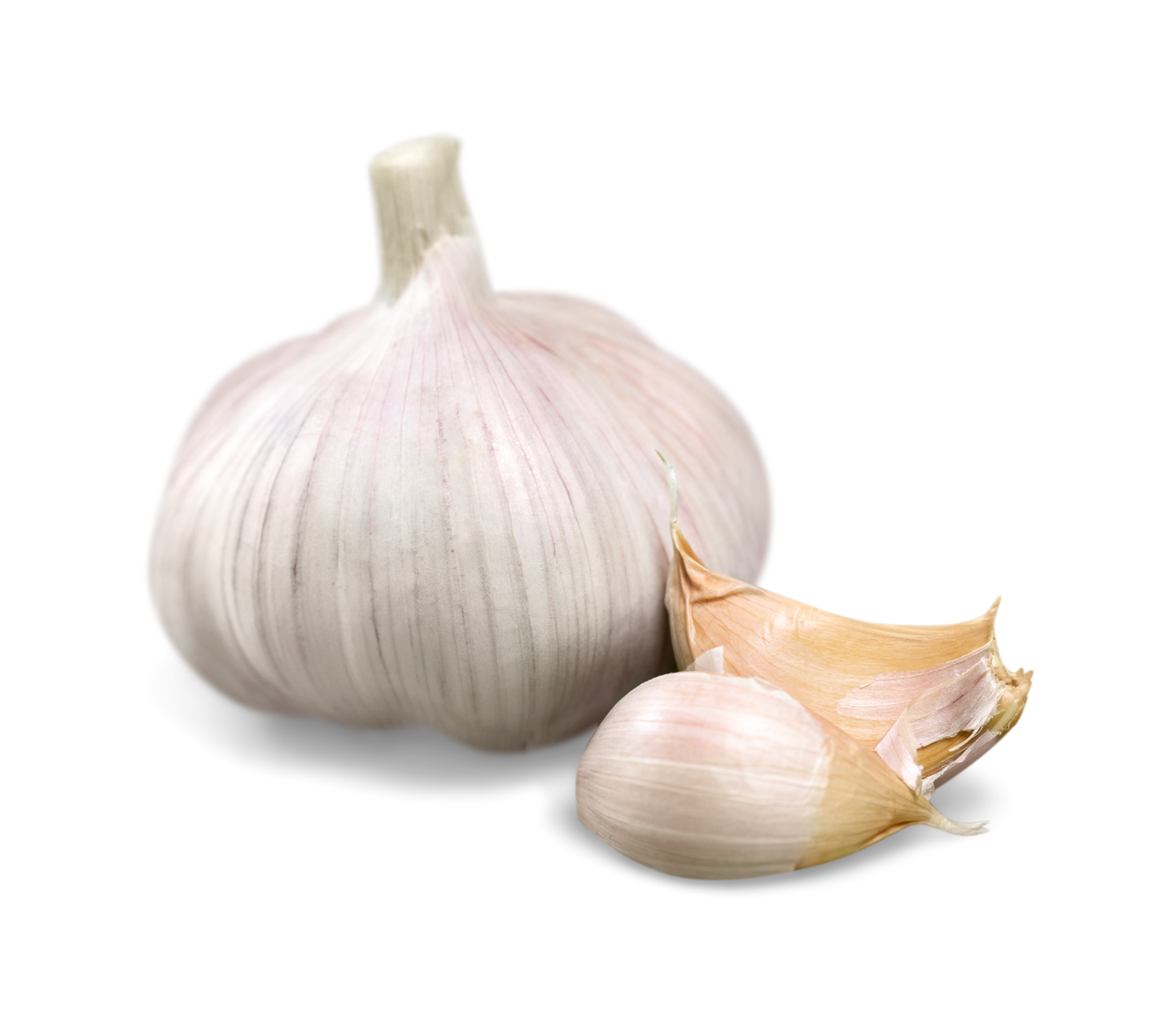 Garlic - سیر