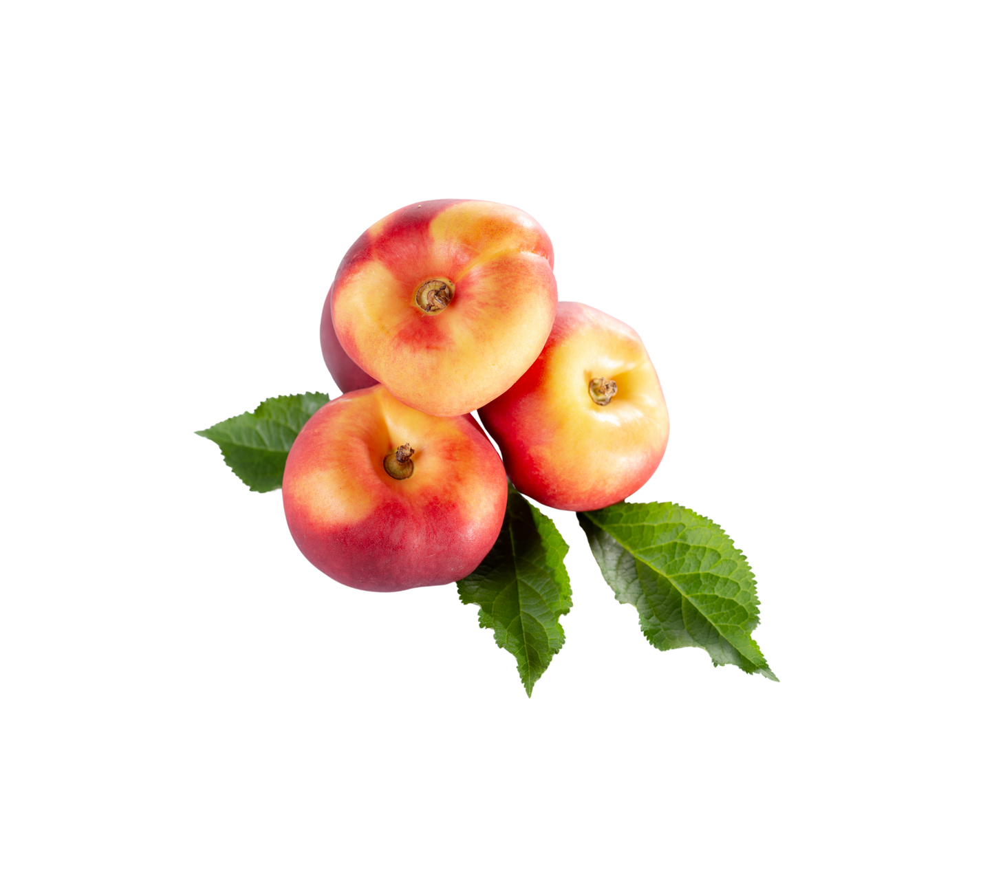 Nectarine  - خۆخی تەرەقە