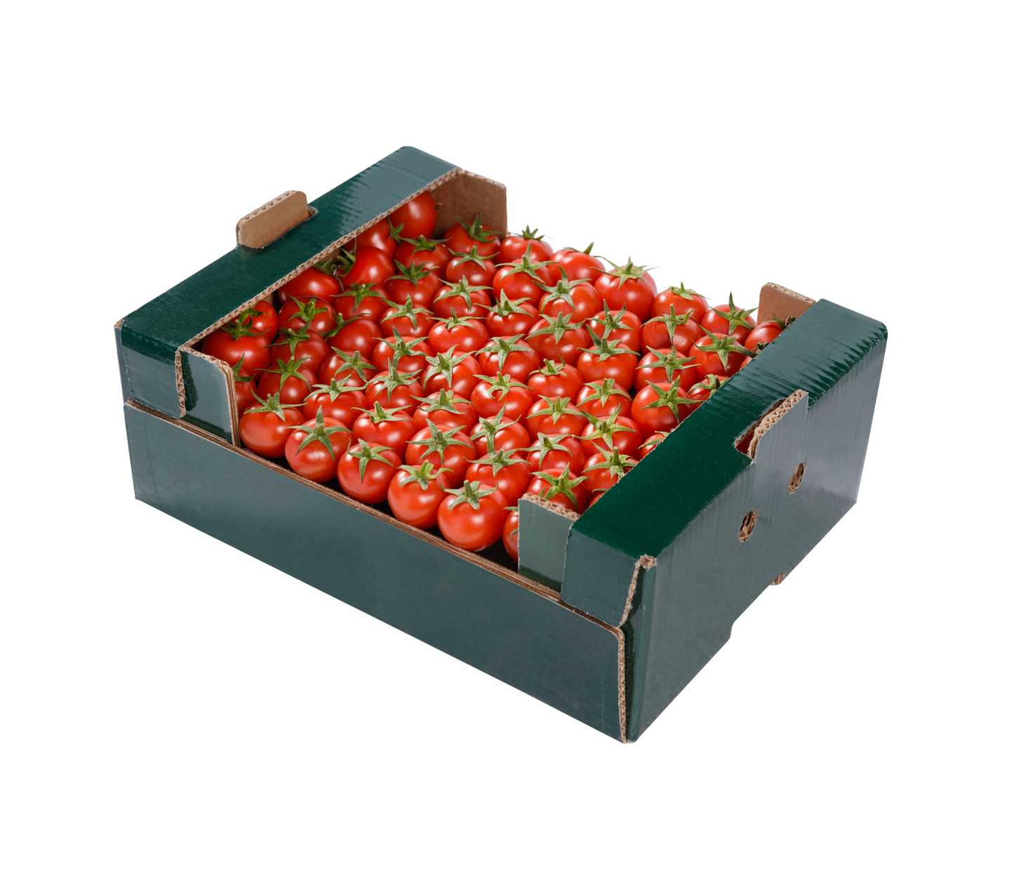 Cherry tomato - تەماتەی بچووک