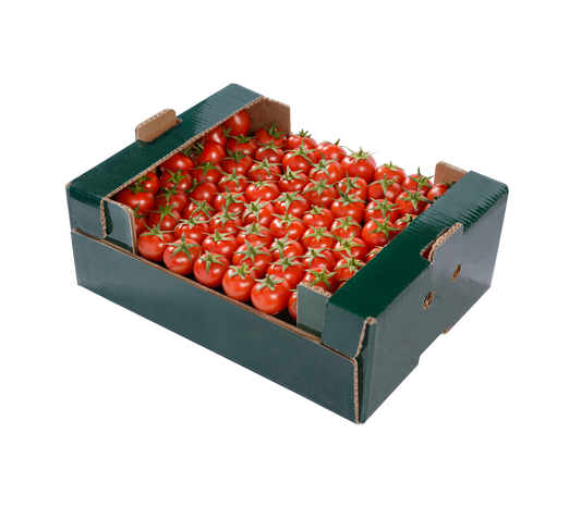 Cherry tomato - تەماتەی بچووک