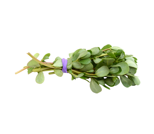 Purslane - پەڵپێنە