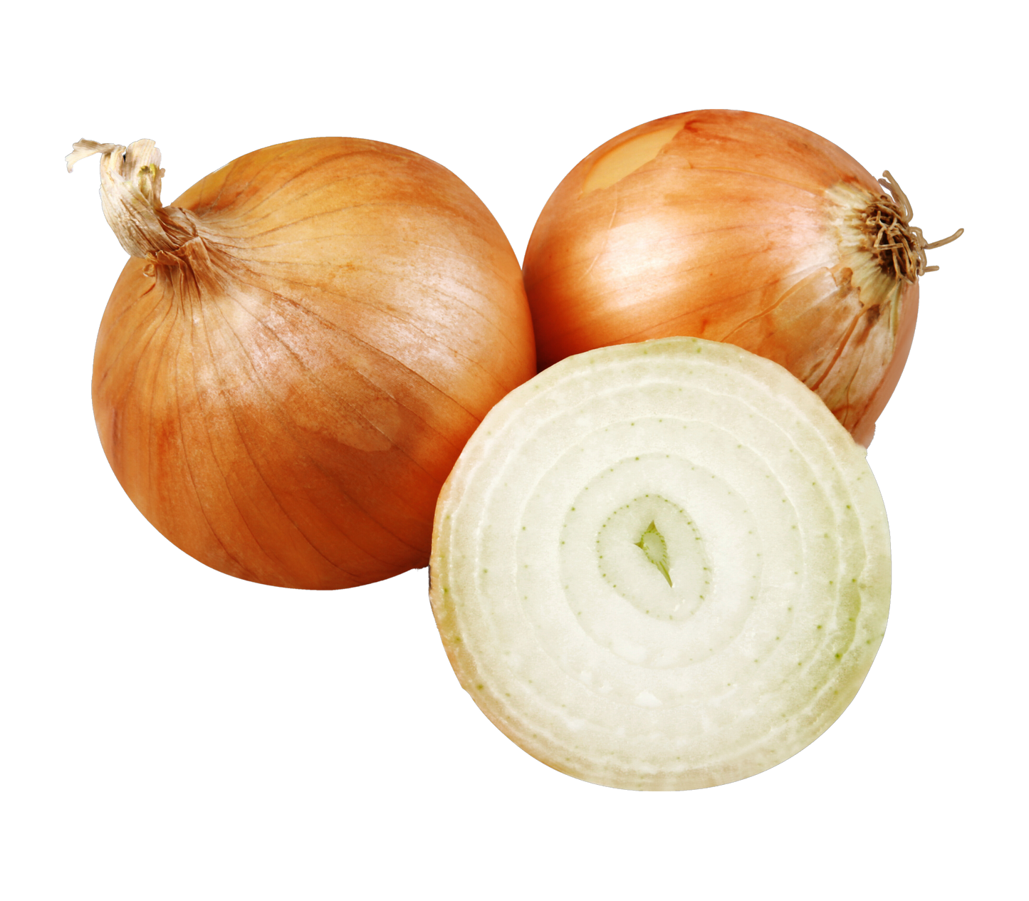 Brown Onion - پیازی قاوەیی