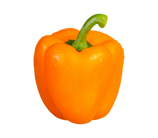 Orange pepper - بیبەری پرتەقالی