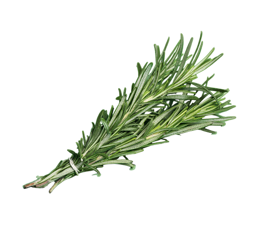 Rosemary - ڕۆسماری